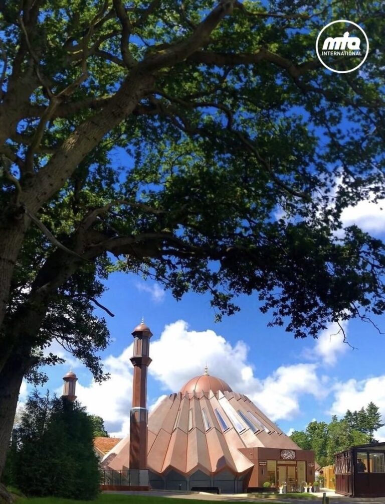 Contentment of those enduring hardship is a lesson for the prosperous: Humanity First UK team meets Huzoor