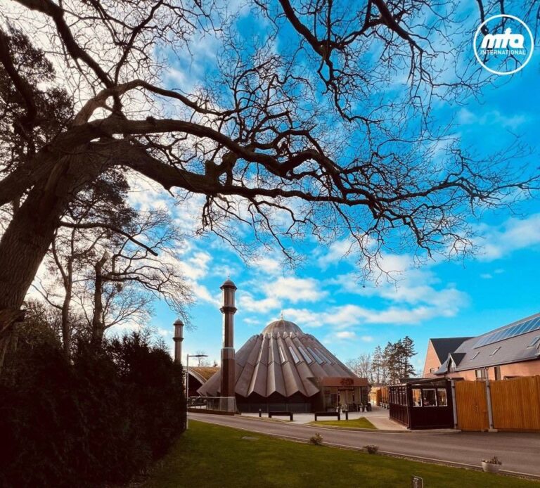 Trust in Allah, regularity in prayers, du‘a, firm faith and determination: Khuddam from USA’s Virginia Region seek advice from Huzoor