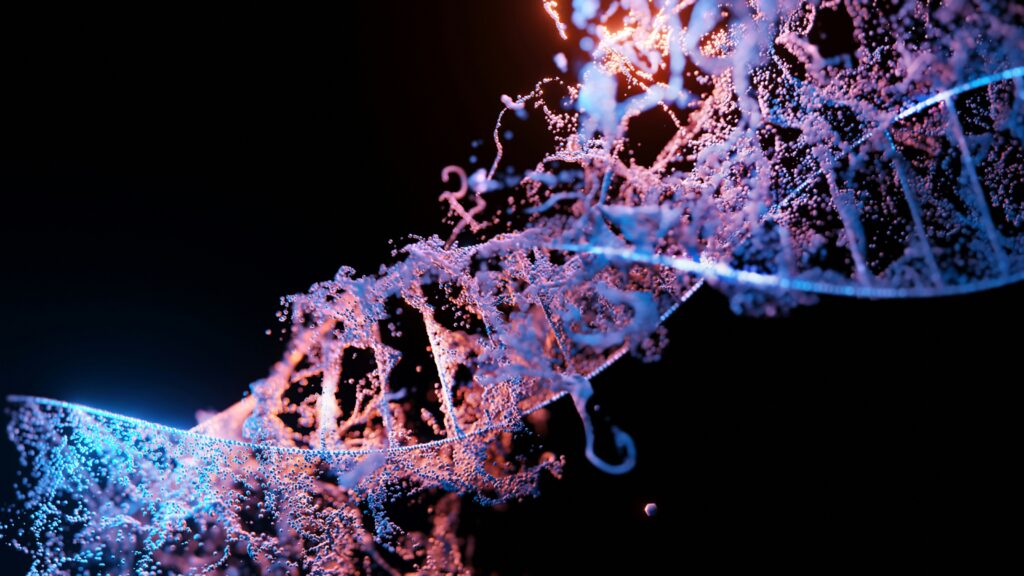 Between the loins and the breast-bones: The theory of human genesis in the Holy Quran