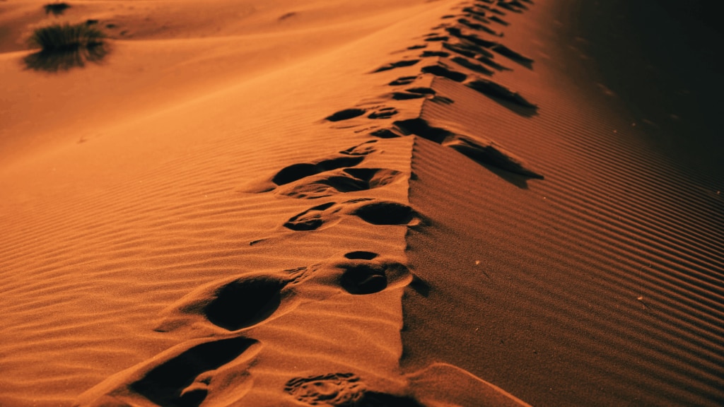 The hidden power of walking: An Islamic insight backed by modern science 1 The hidden power of walking: An Islamic insight backed by modern science