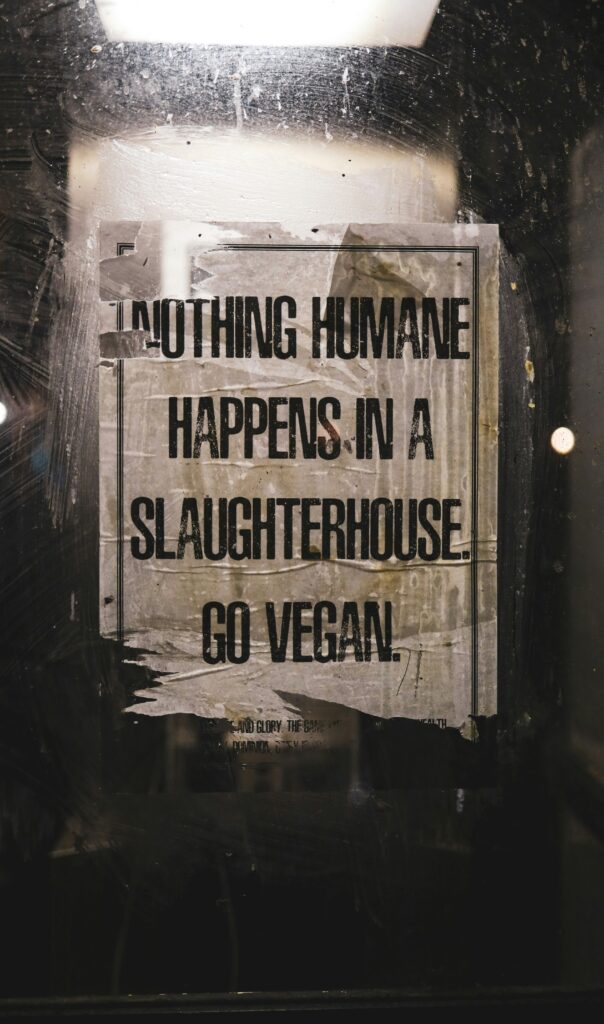 kevin grieve RdzrCogdDSo unsplash